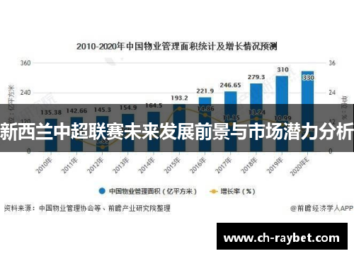 新西兰中超联赛未来发展前景与市场潜力分析