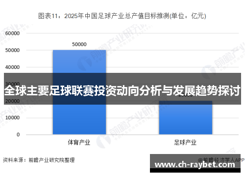 全球主要足球联赛投资动向分析与发展趋势探讨