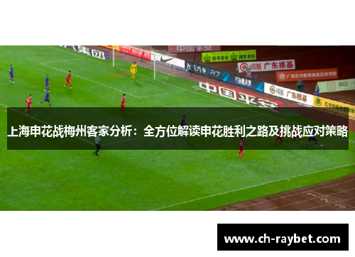 上海申花战梅州客家分析：全方位解读申花胜利之路及挑战应对策略