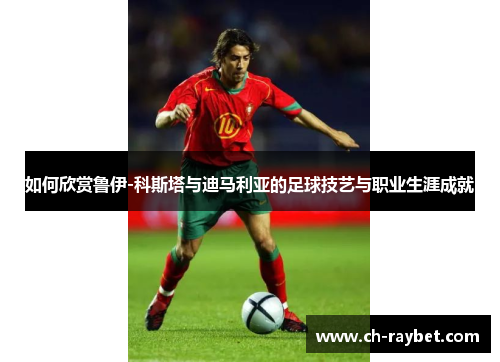 如何欣赏鲁伊-科斯塔与迪马利亚的足球技艺与职业生涯成就