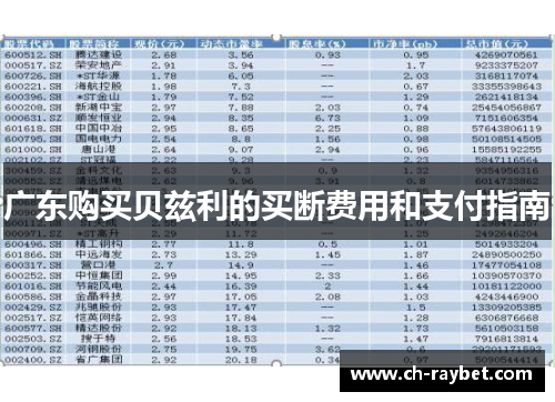 广东购买贝兹利的买断费用和支付指南