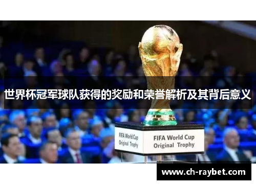 世界杯冠军球队获得的奖励和荣誉解析及其背后意义