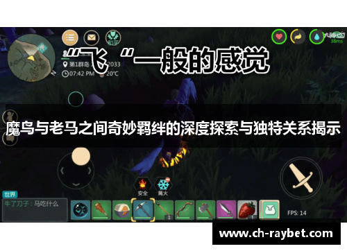 魔鸟与老马之间奇妙羁绊的深度探索与独特关系揭示